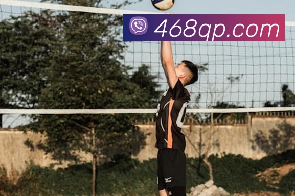 8868APP 封面图